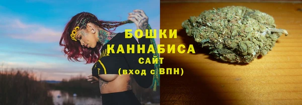 прущие грибы Балахна