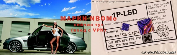 дживик Баксан