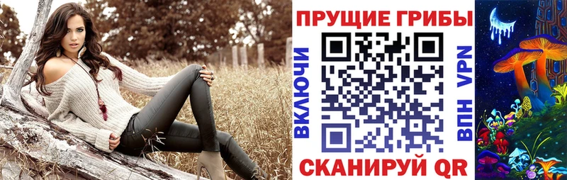 купить наркотик  Борзя  Псилоцибиновые грибы мухоморы 