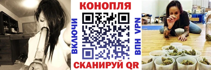 где купить наркоту  Борзя  Марихуана Bruce Banner 